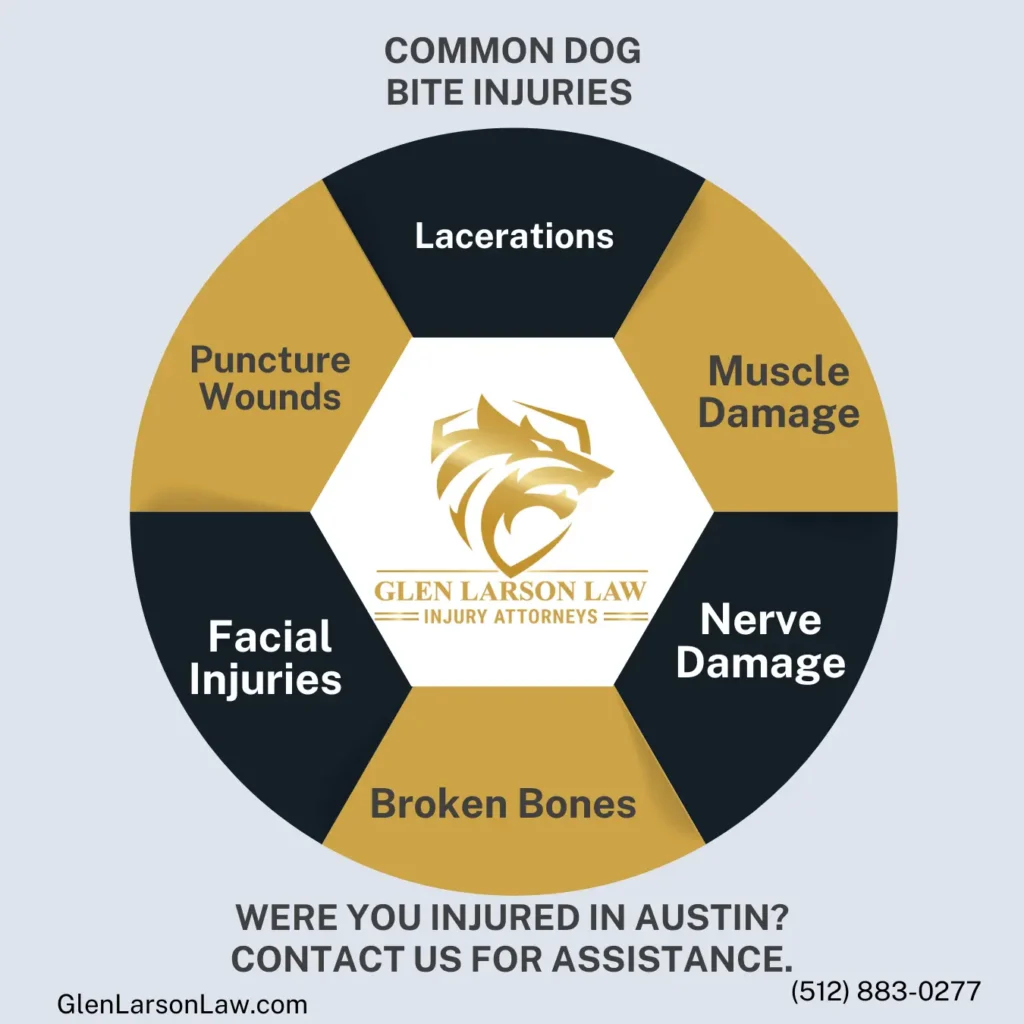 This infographic shows that Common Dog Bite Injuries